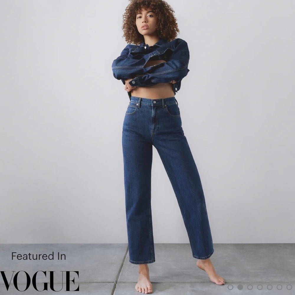 Everlane The Way-High Jean - Picture 5 of 6